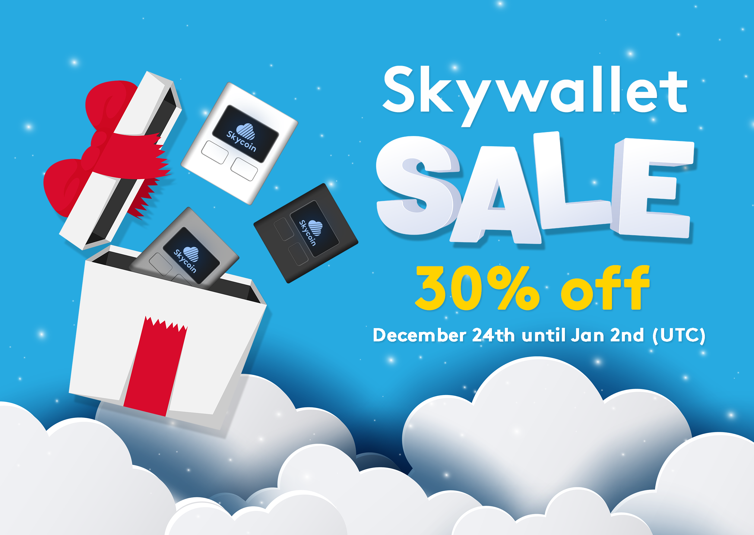 End-of-Year Skywallet Sale | Blog
