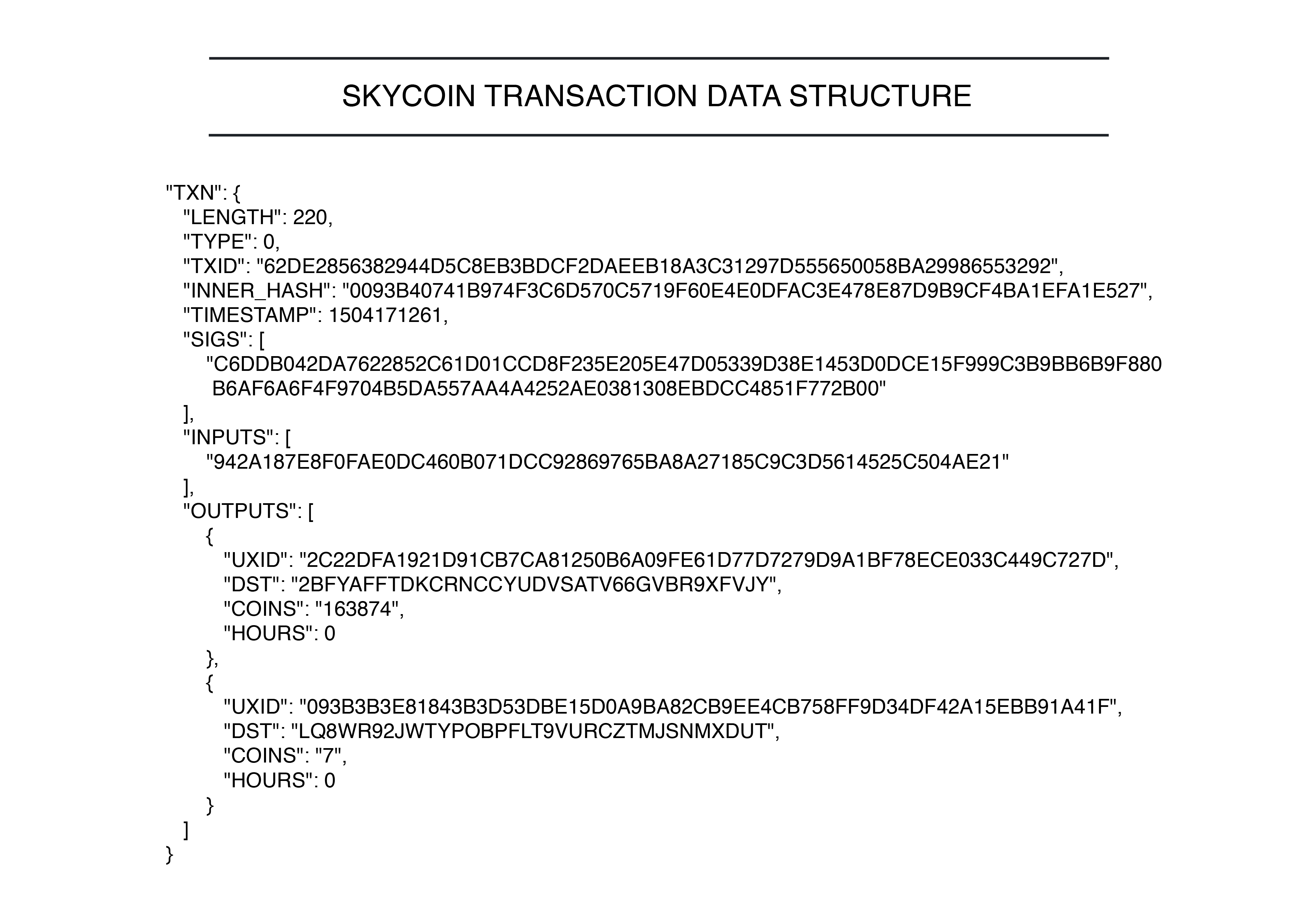 skycoin-transaction-data-structure